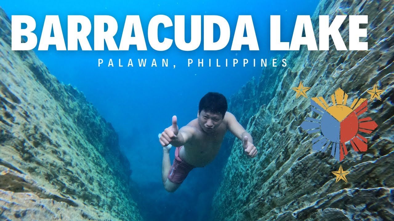 Barracuda Lake I Coron, Palawan I PHILIPPINES