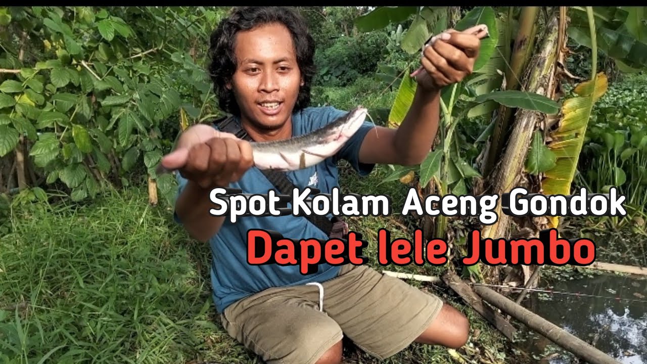 Mancing di Spot kolam terbengkalai