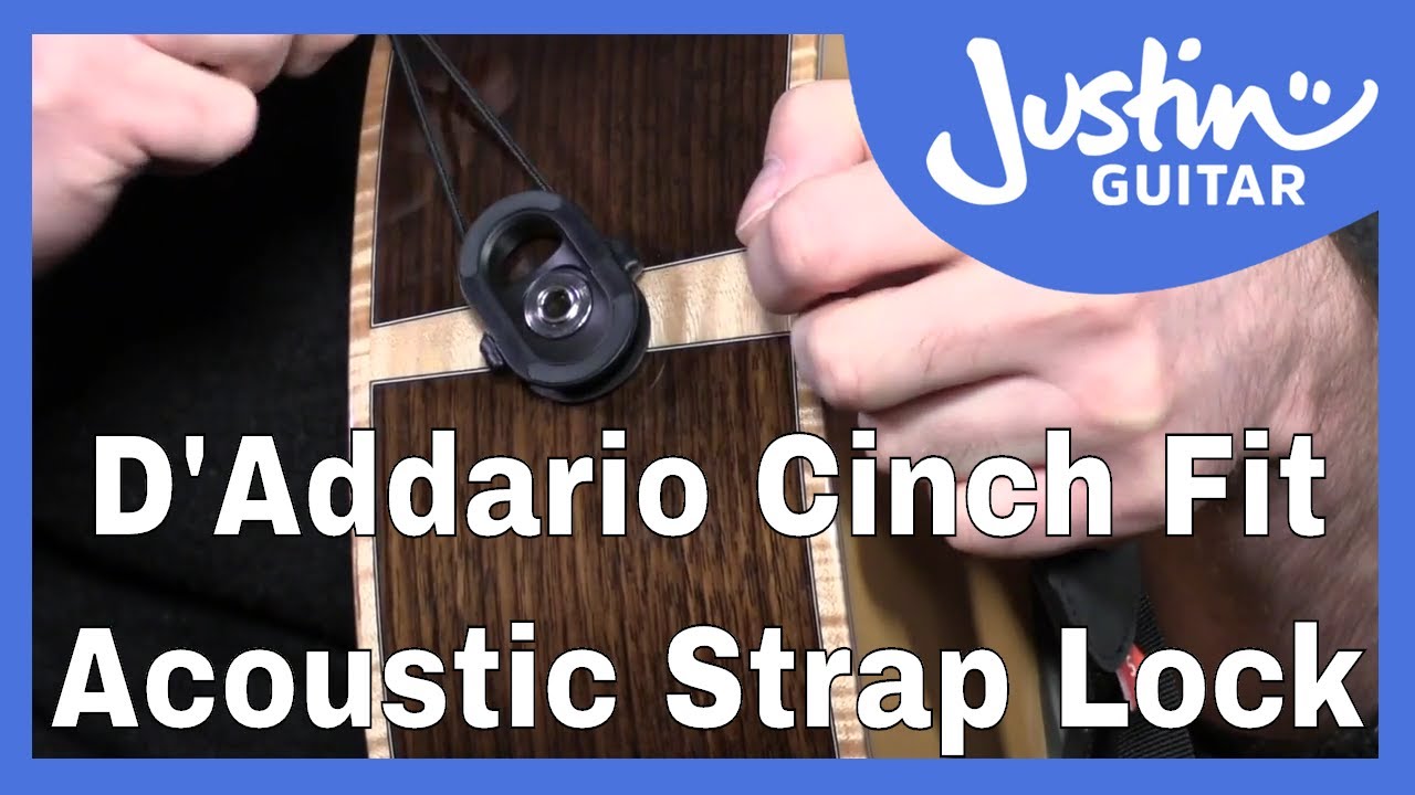 Берегите свою акустическую гитару! D'Addario Cinch Fit Strap Lock