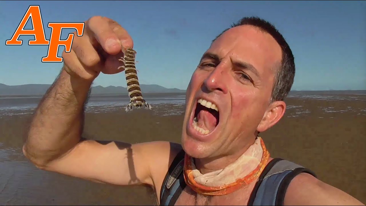How to catch Mantis Shrimp Catch and Cook with Garlic EP.451