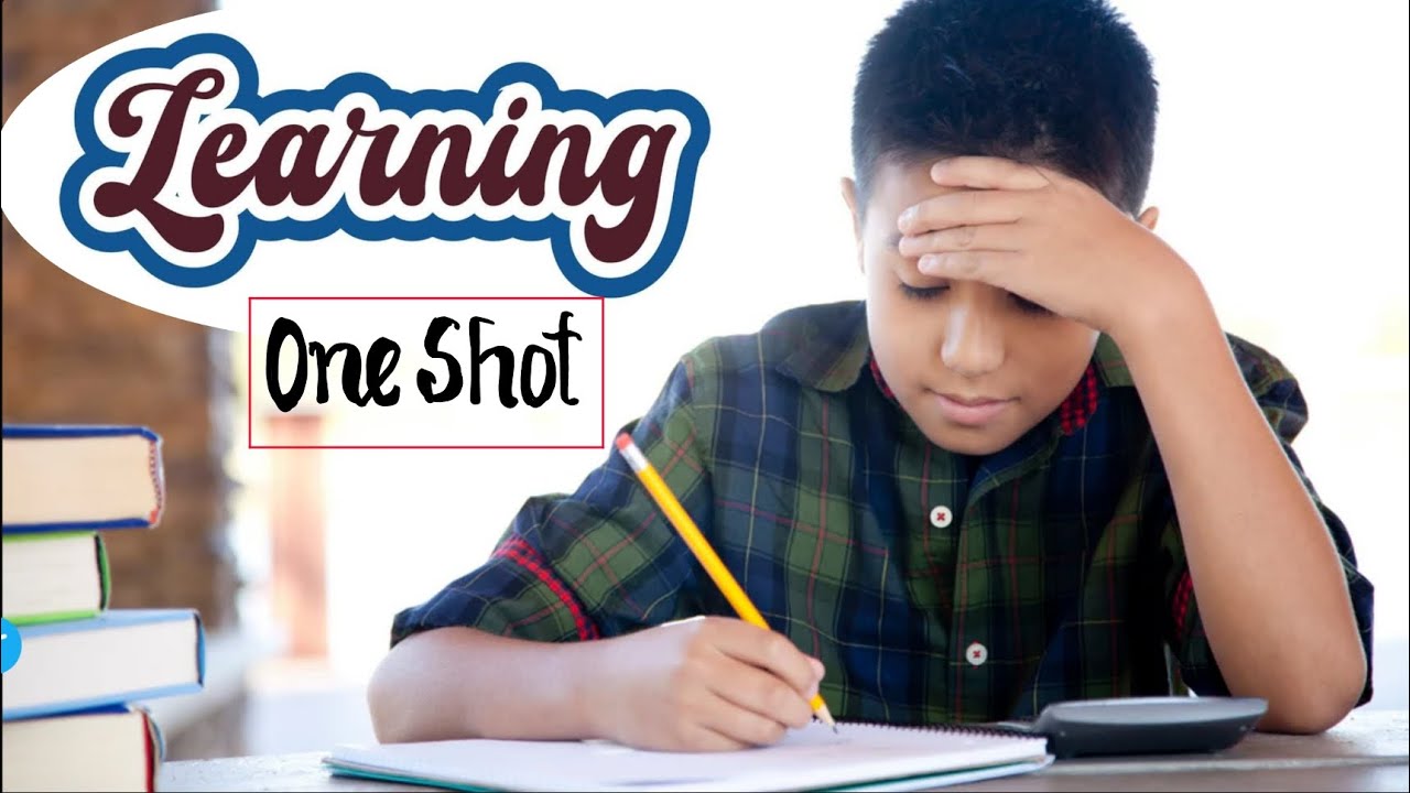 THEORIES OF LEARNING ONE SHOT | Classical + Operant Conditioning | Psychology Catalyst