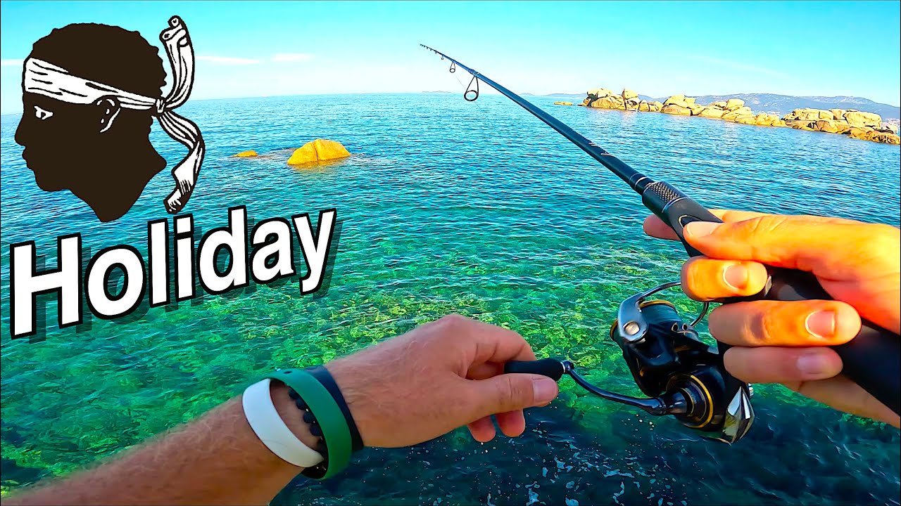 I Fished in Corsica during my Summer Holidays! Multi-Species Light Game Fishing Sessions