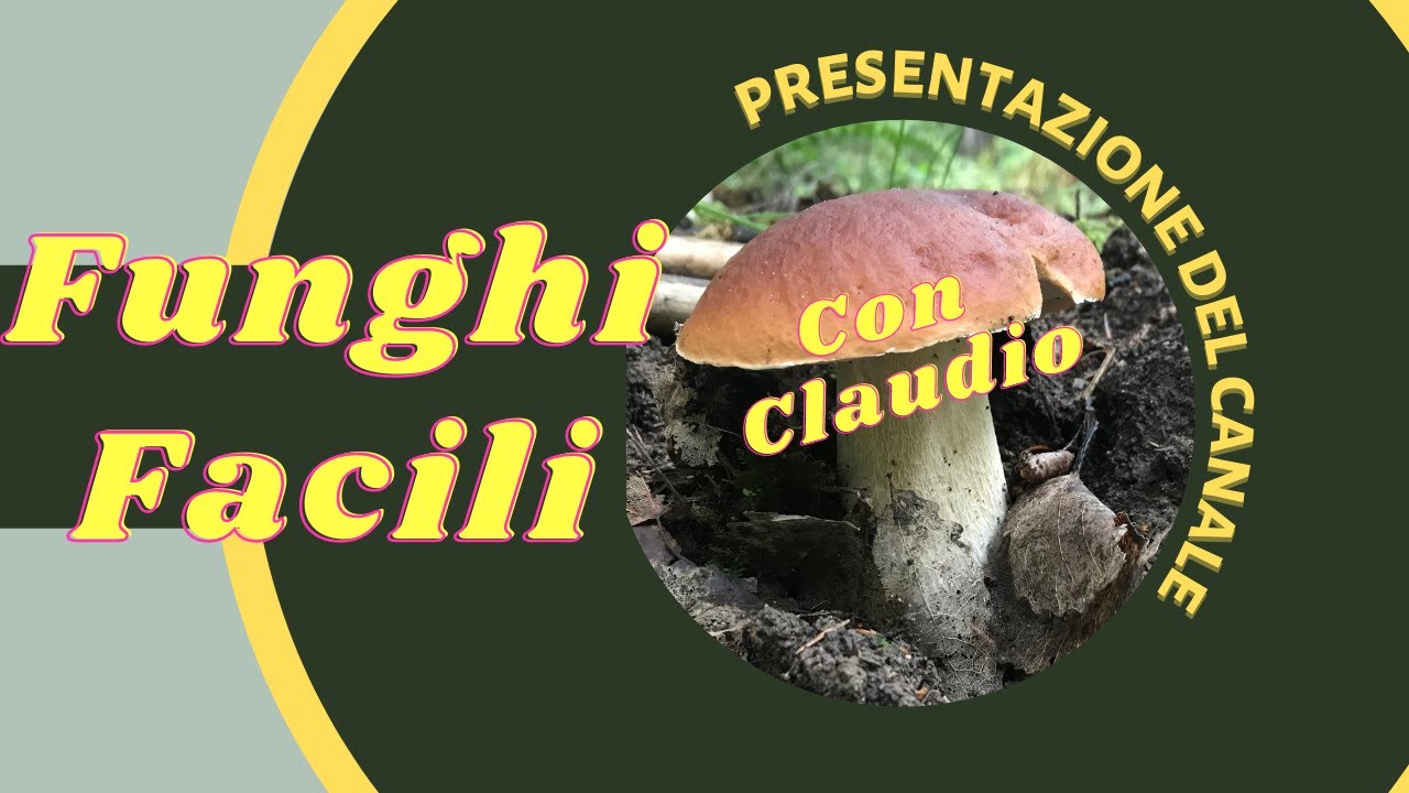 Funghi Facili con Claudio. Presentazione del canale