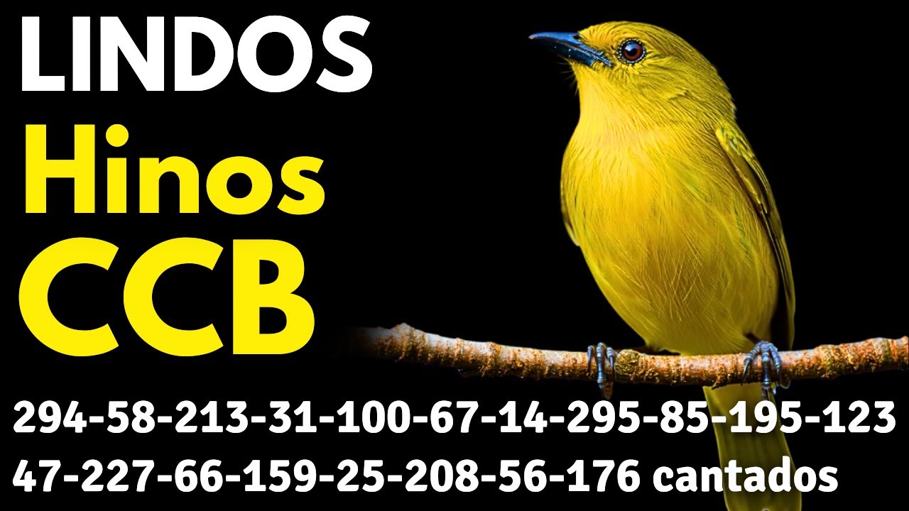 HINOS CCB 294-58-213-31-100-67-14-295-85-195-123-47-227-66-159-25-208-56-176-130-242 cantados
