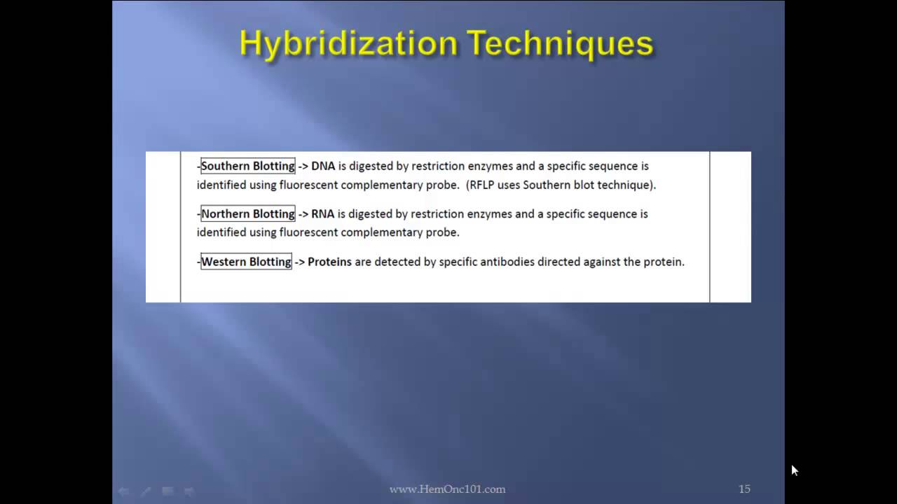Molecular Hematology | Dr. Tony Talebi lectures on Molecular Hematology