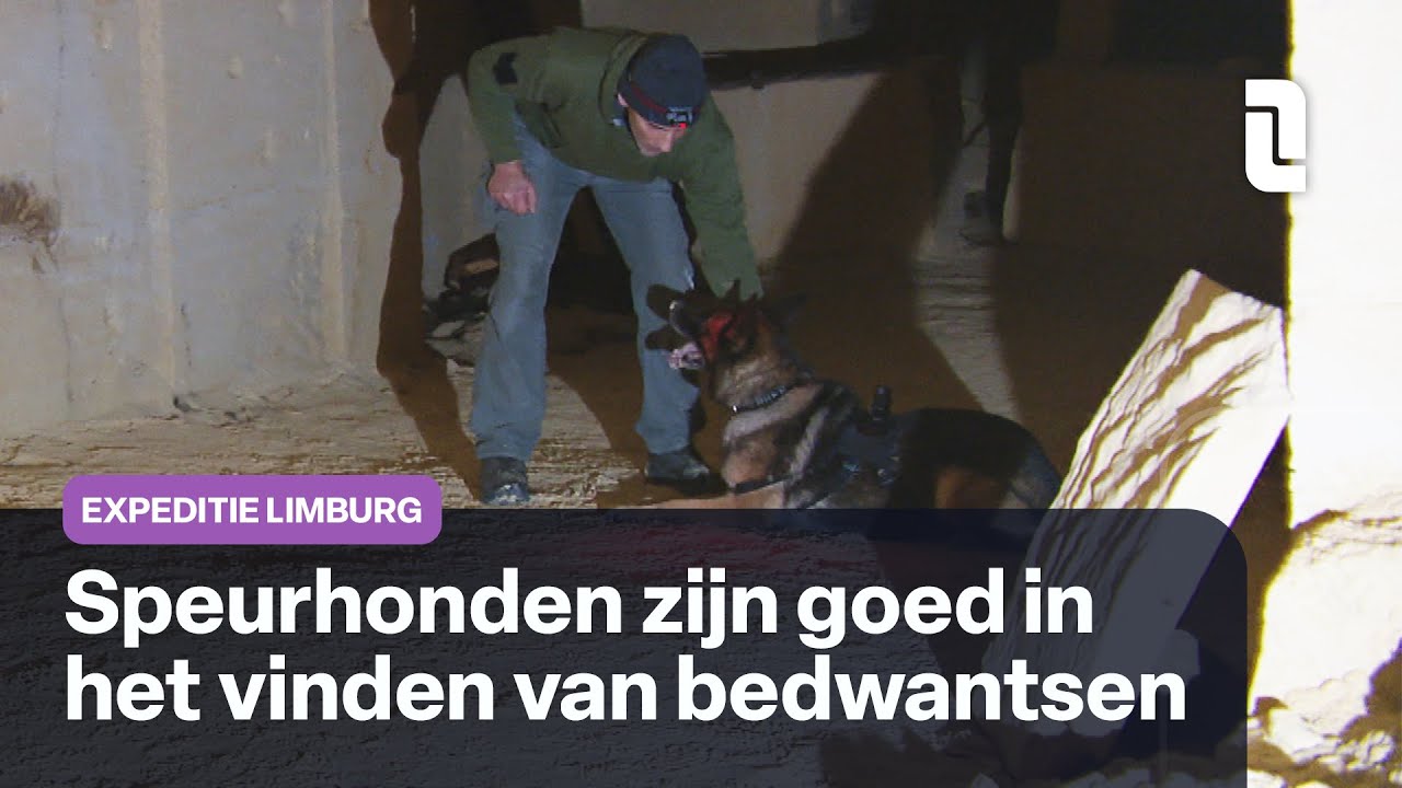Wie zijn de mensen achter de speurhonden die levens redden? | Expeditie Limburg