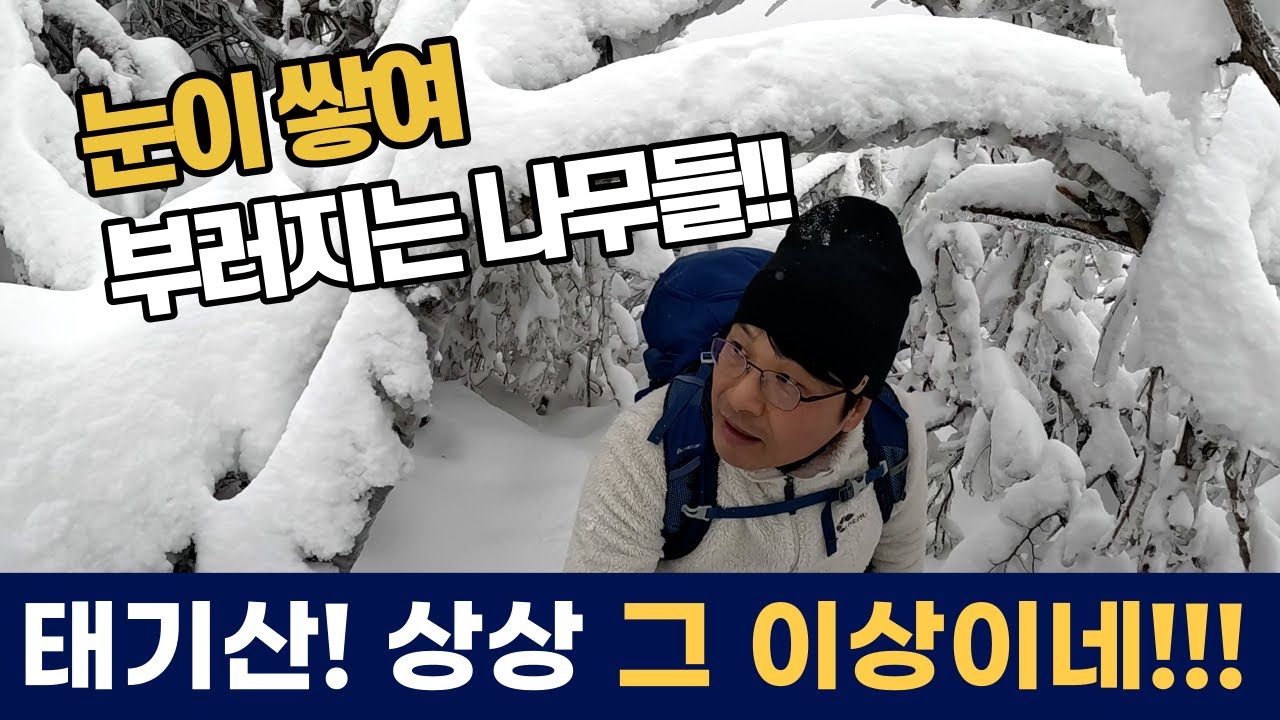 걷기 좋은 태기산 눈꽃 상고대 _ 믿기지 않은 풍경!! 꼭 한번 다녀오세요 ^^