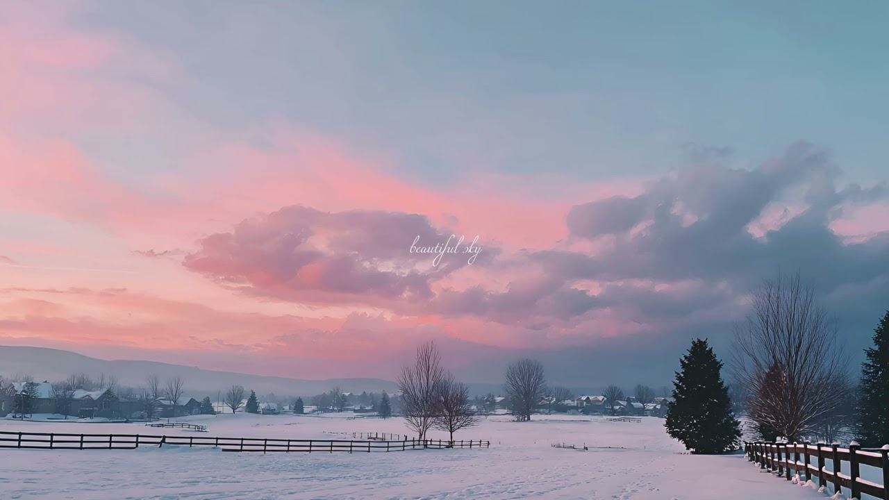 a playlist for quietly clearing your mind 🕊️🍃