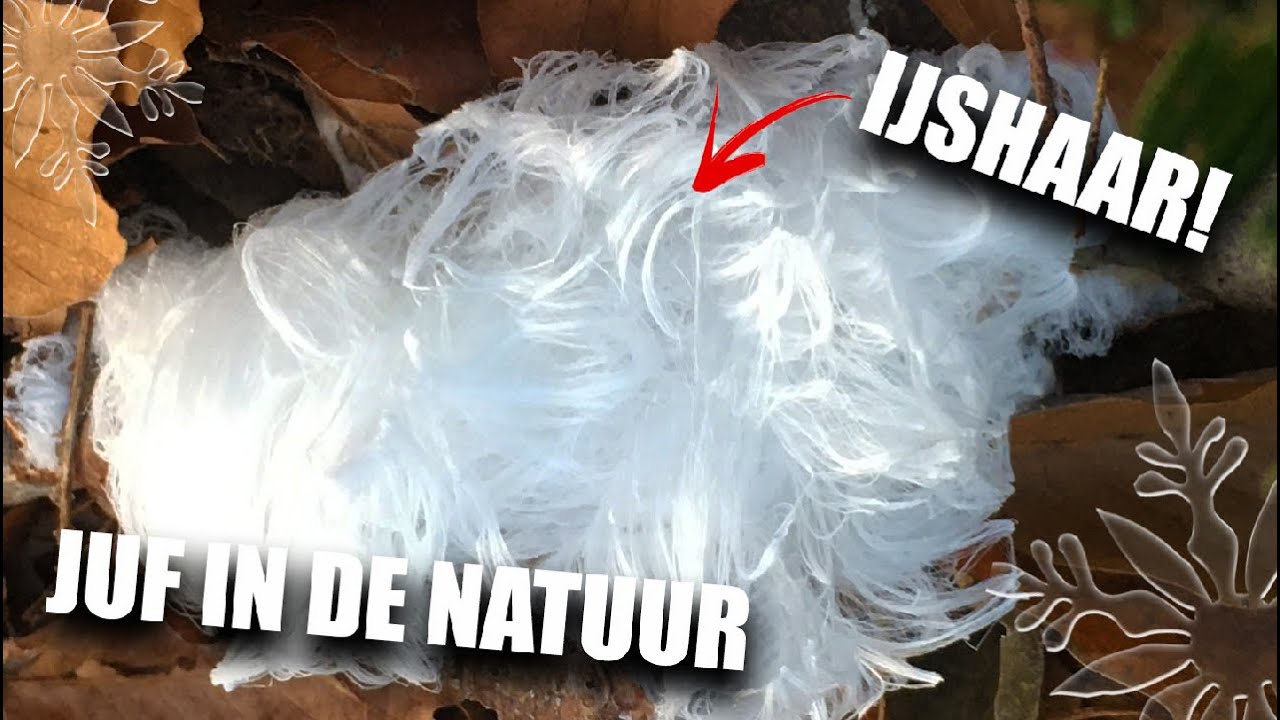 IJSHAAR - JUF IN DE NATUUR