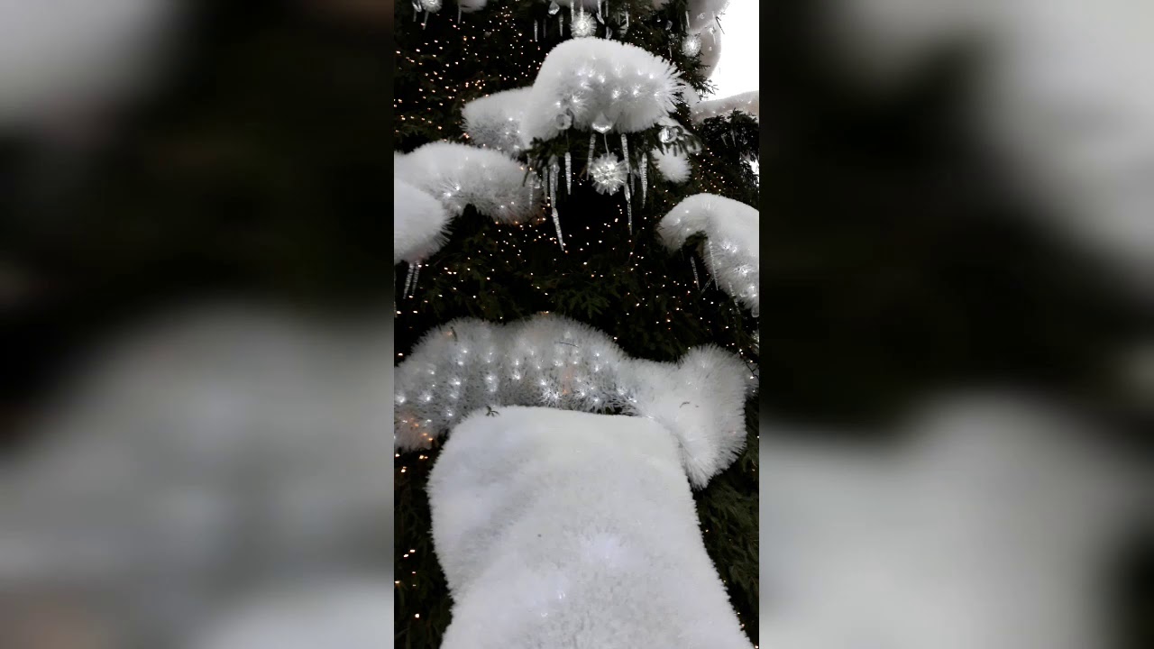 Kauno Rotu&scaron;ės Aik&scaron;tė 2018