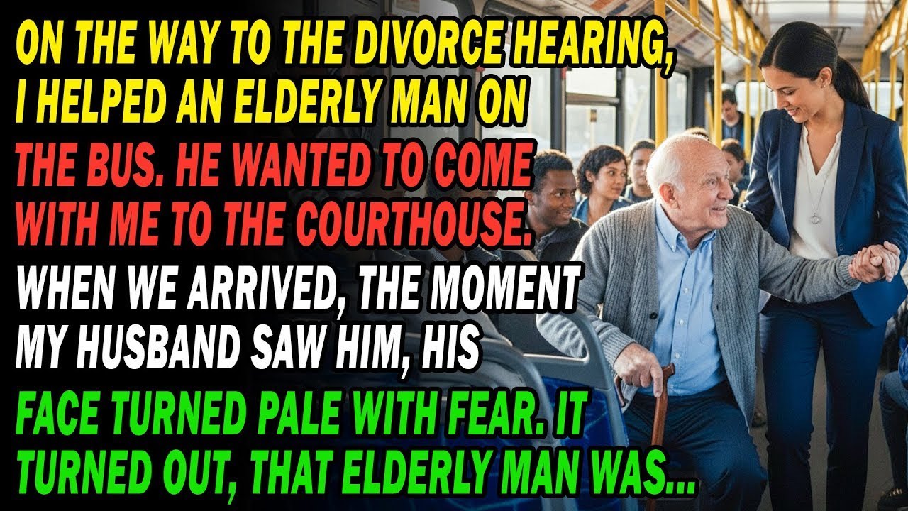 I Helped An Old Man On The Bus,A Law Professor⚖️My Arrogant Husband Actually Knelt When He Saw Him