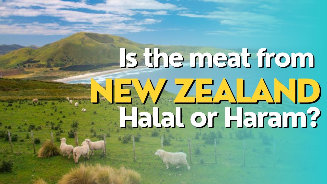 Is the meat from New Zealand Halal or Haram? #newzealand