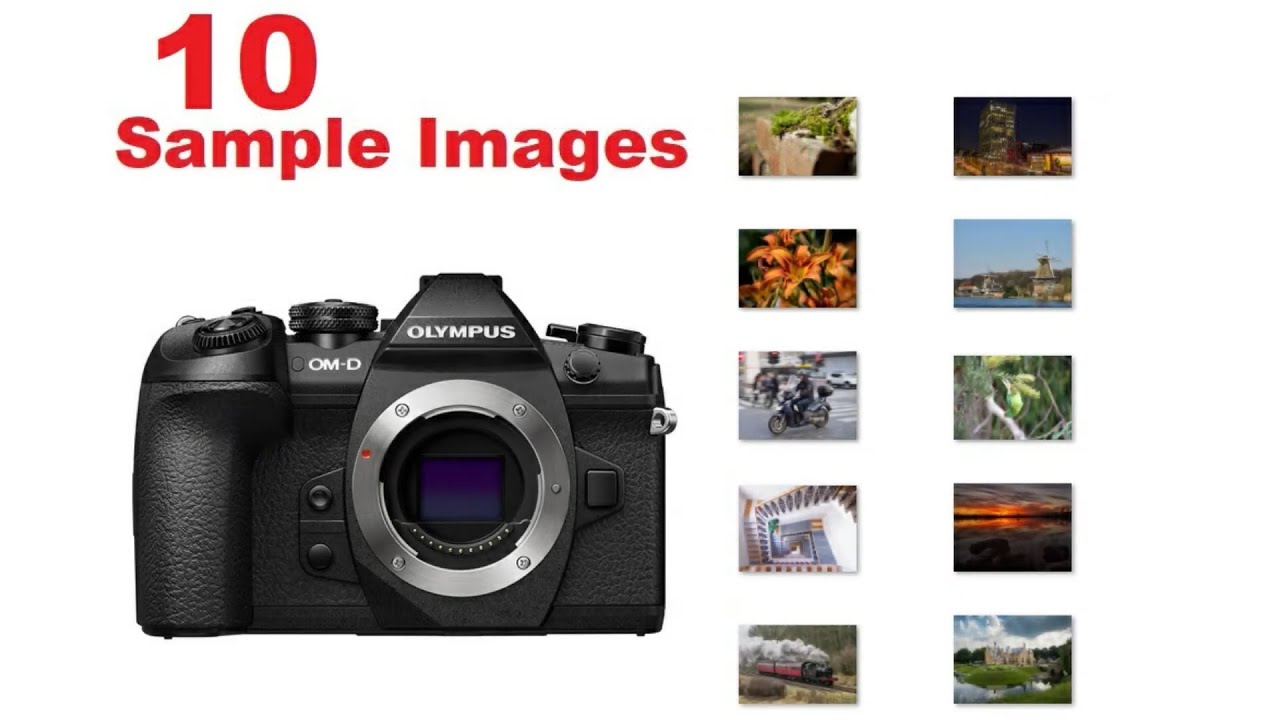 OMD EM1 Mark II Sample Images [Micro Four Thirds] Workhorse Camera Versatile for Stills & Video