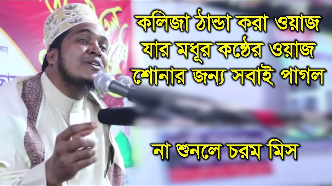 যে ওয়াজ শুনে কলিজা ঠান্ডা হয়ে যায়। Salim Hossain Azadi