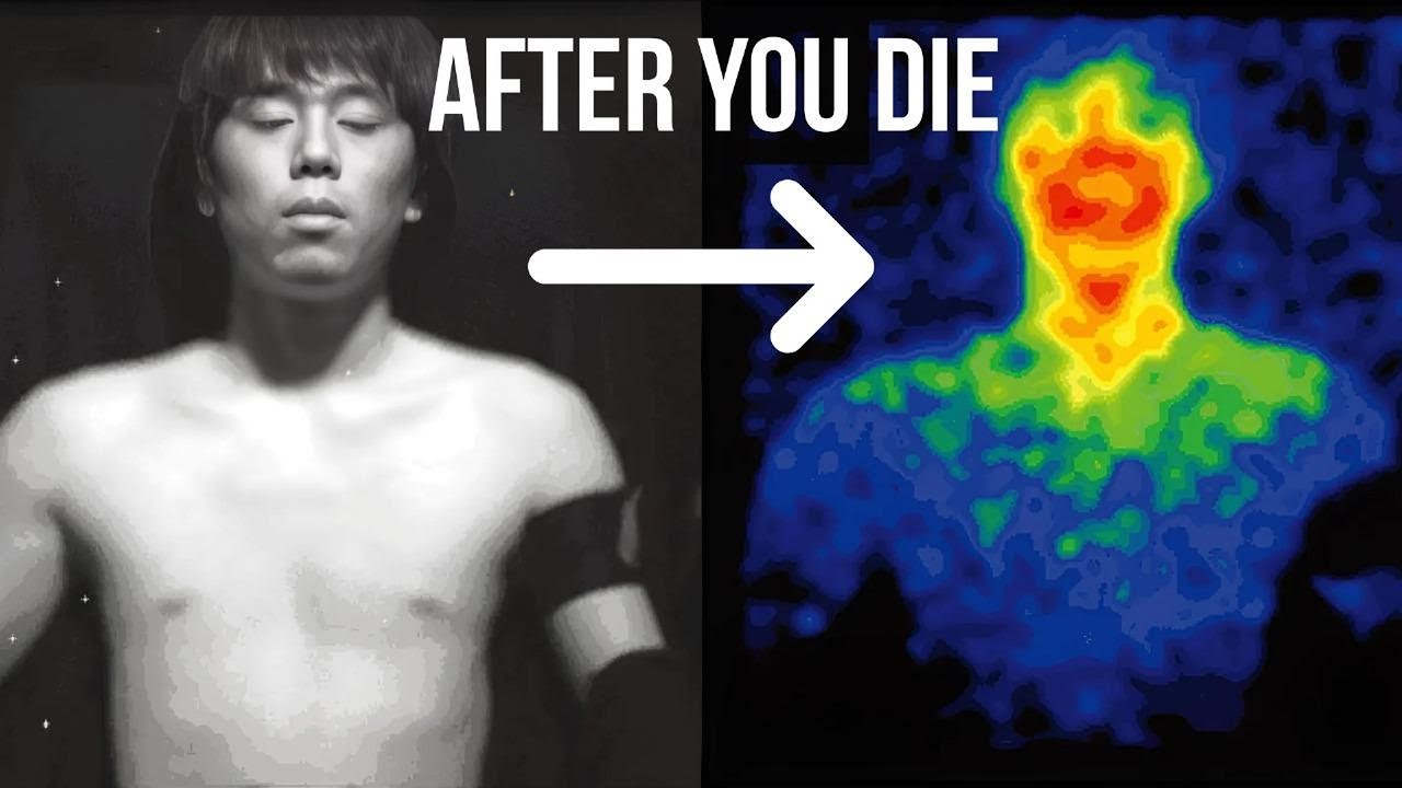 Why Human Body Emits Light That Disappear Upon Death