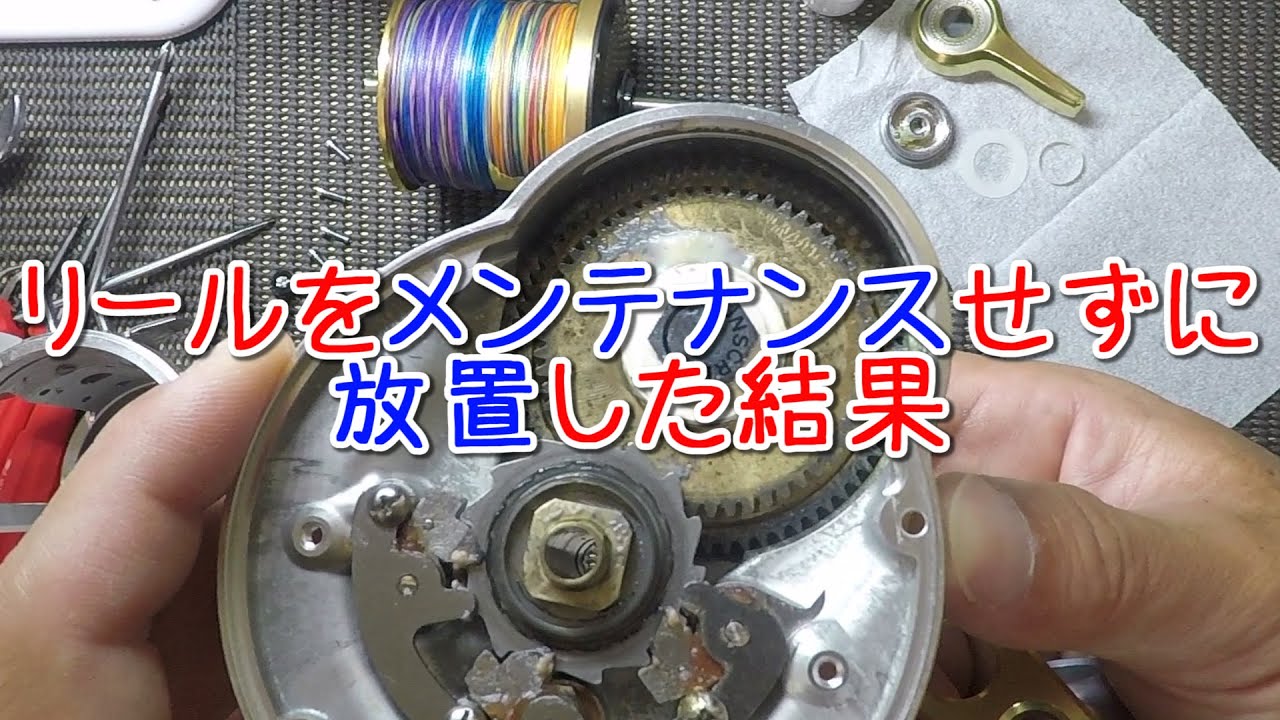 リールをメンテナンスせずに放置した結果【シマノ・タリカ25Ⅱ】