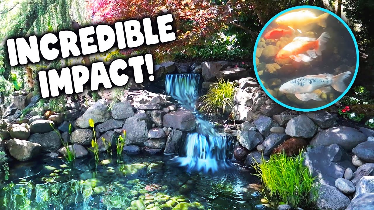 Make the Most of Small Spaces with BIG PONDS!