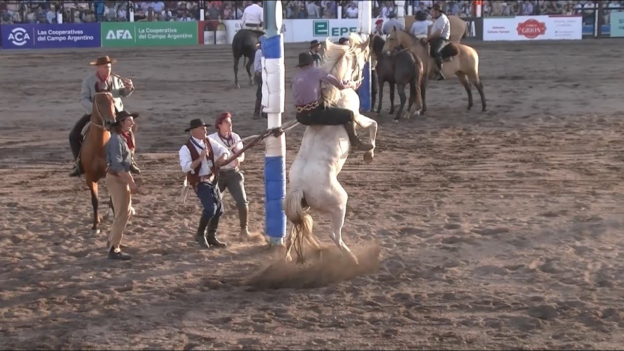 El Mundial de la Jineteada 162 - Mejor monta de Jesús María 2025