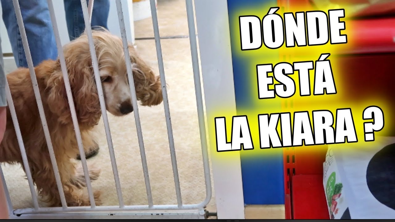 QUÉ HA PASADO con la KIARA?😱Vlog Happy Ohana
