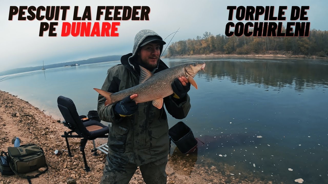Pescuit la Feeder pe Dunare dupa Mrena: Cochirleni