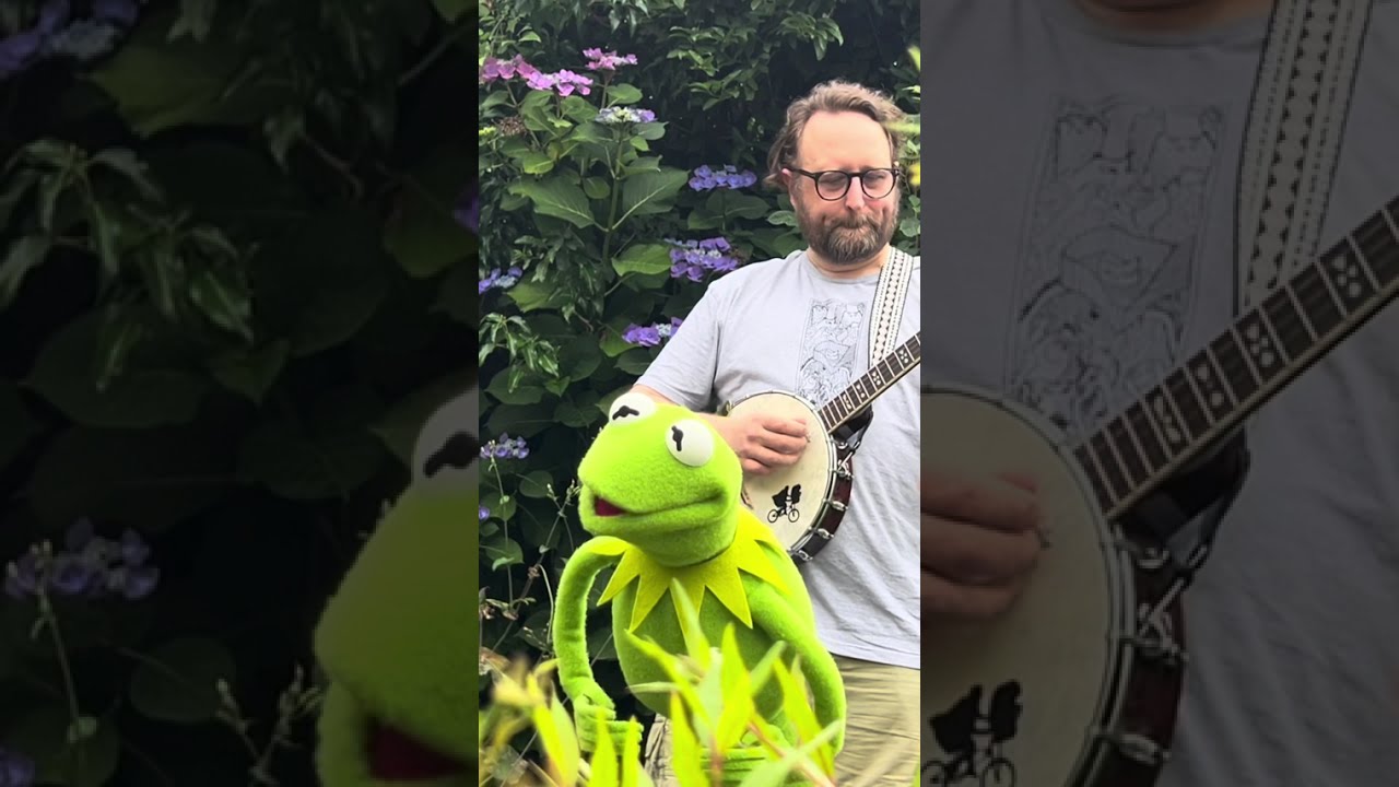 Rainbow Connection - Kermit the Frog tribute by The Jimi Henson Experience