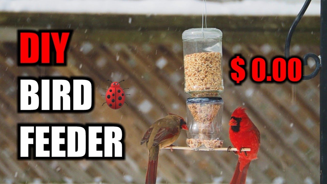 DIY bird feeder- recycled material $0