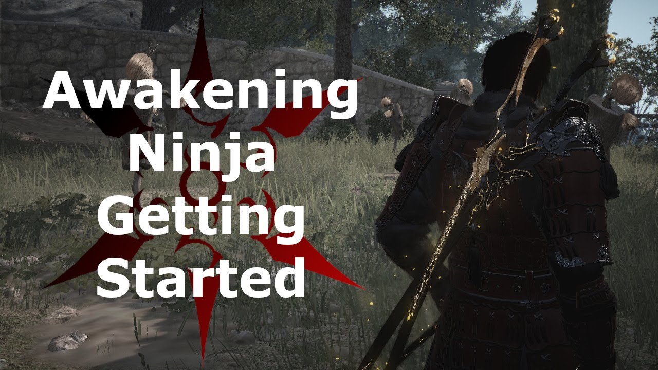 Black Desert Awakening Ninja PvP Guide: Getting Started | Skills, Cancels, Gearing, Add-ons