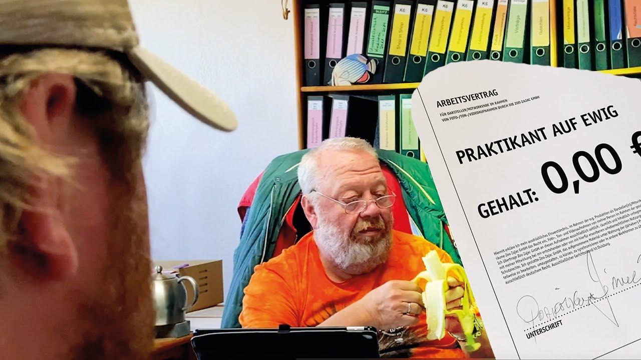 JIMMIES BEWERBUNGSGESPRÄCH! ES GEHT WEITER! NORBERTS WELT