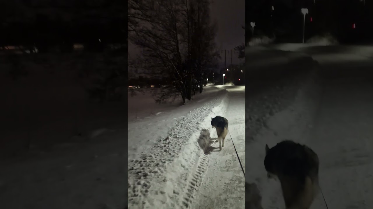 vlogg in winter 
