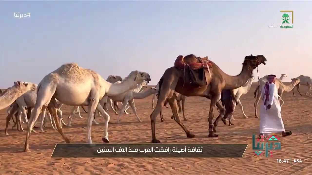 ديرتنا | 