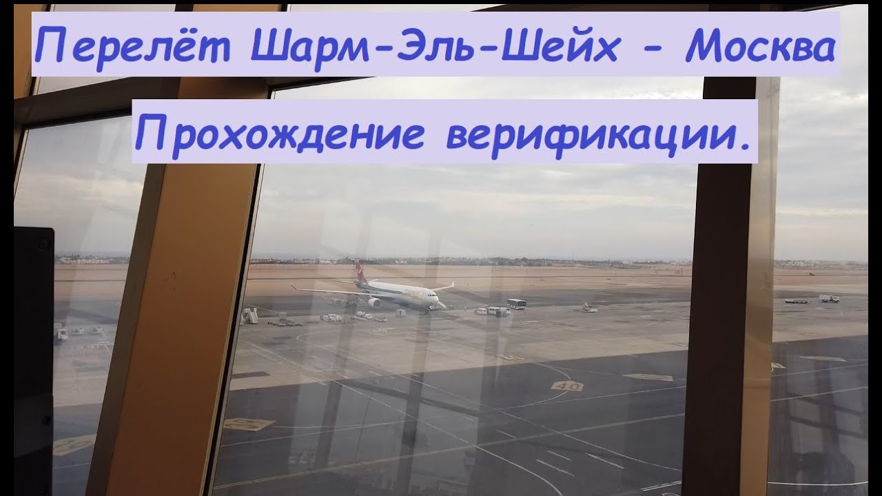 Перелет Египет-Москва * Прохождение верификации при возвращении домой / Россия, Москва