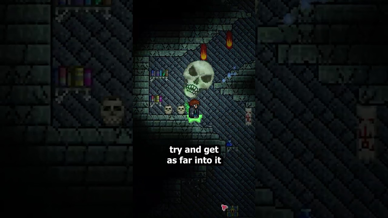 То, что делает КАЖДЫЙ игрок в Terraria!