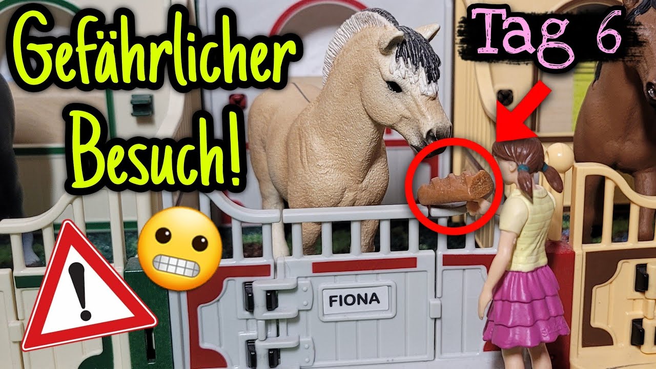 GEFÄHRLICHER BESUCH! Bounty in der Klinik? 😰😳 | #6 Reiterferien auf dem Grünwaldhof 2023 🍀