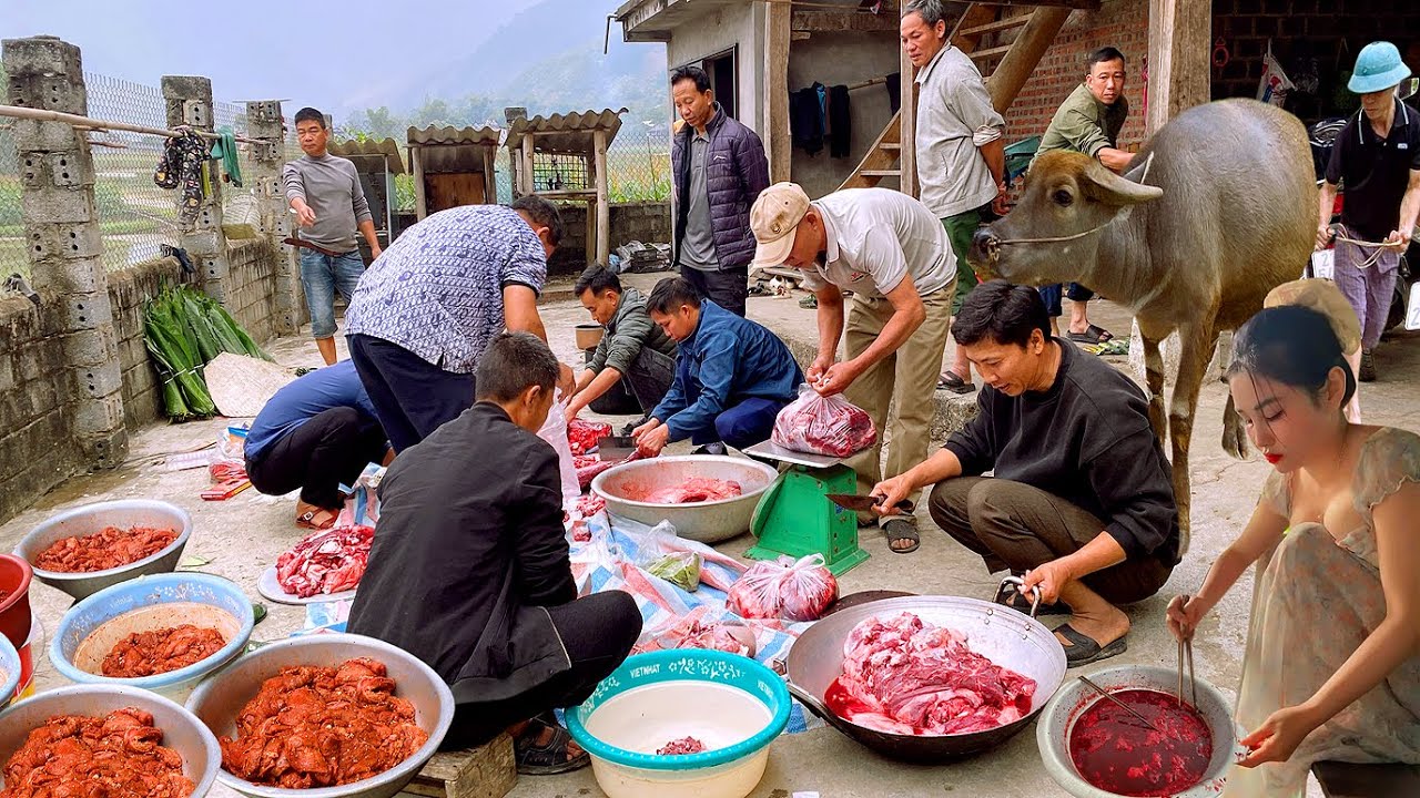 QUÁ KHỦNG KHIẾP! THỊT LUÔN EM TRÂU 200KG LÀM 120 MÂM MỜI CẢ BẢN ĂN CƯỚI