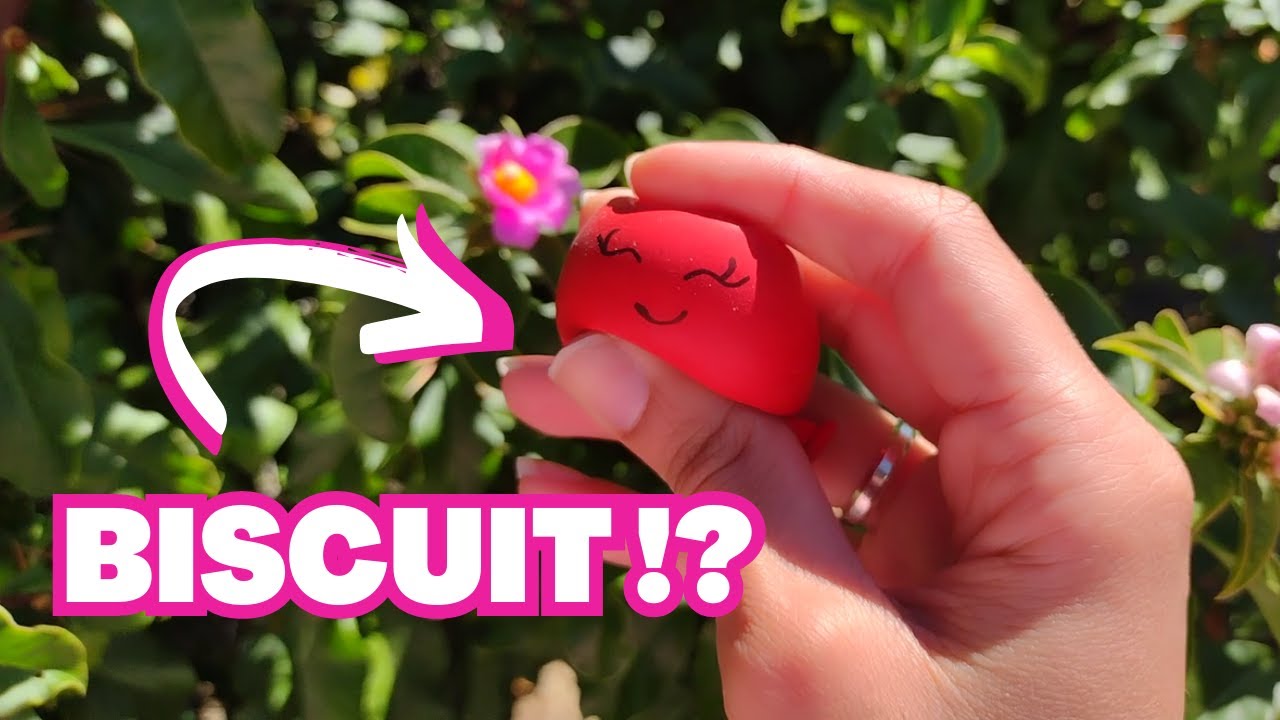BISCUIT caseiro SEM COLA E SEM FOGO ?? 🤨😳 + SQUISHY TOY 🎈 [DIY]