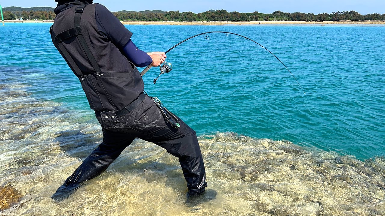 浮け、こいつ、、絶対食ってやる…【ヘビー級の大型高級魚】