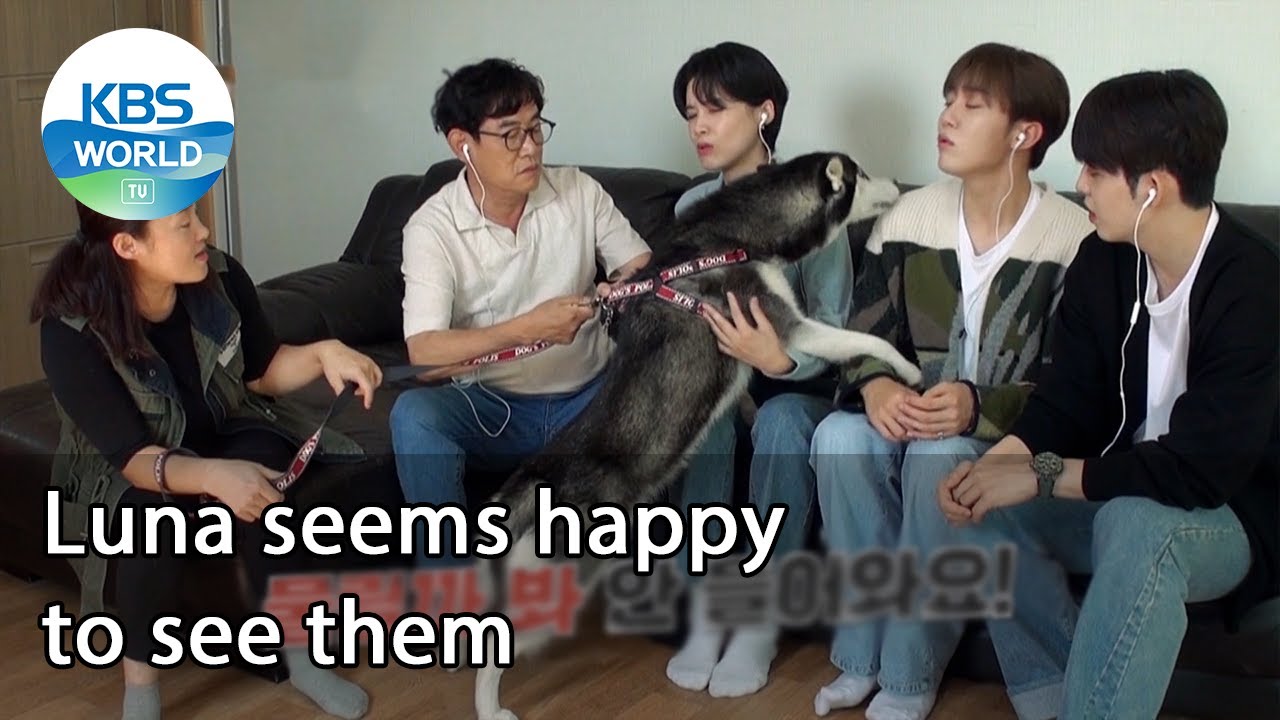 Luna seems happy to see them (Dogs are incredible EP.99-4) | KBS WORLD TV 211110