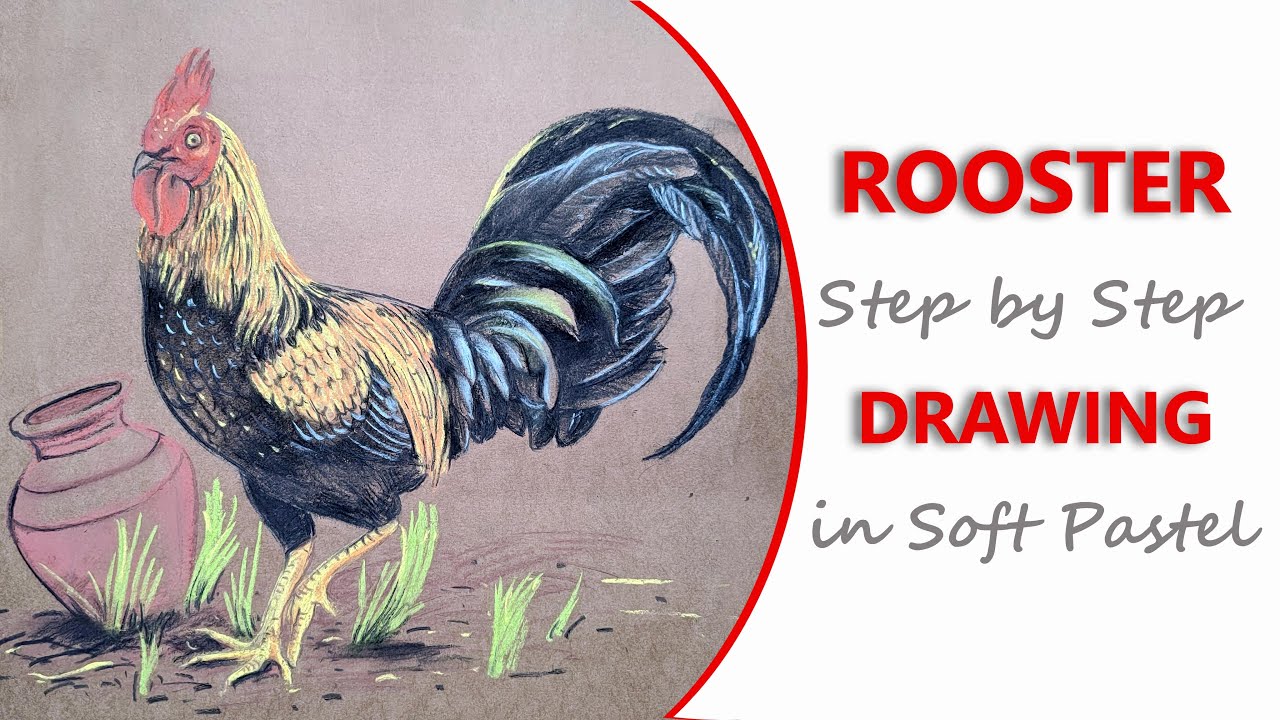 Rooster drawing #soft pastel drawing #rooster drawing step by step in soft pastel #cock drawing