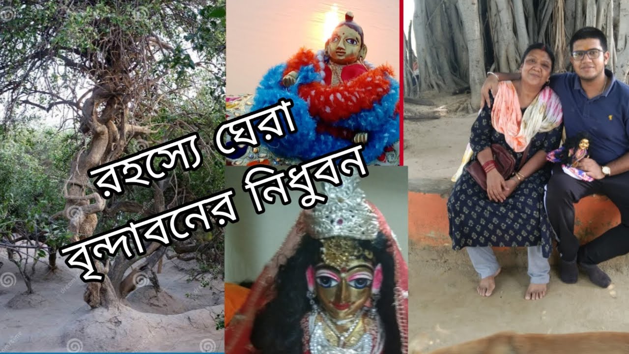 রাধা কৃষ্ণের লীলাক্ষেত্র বৃন্দাবনের নীধুবন 🙏🙏🙏