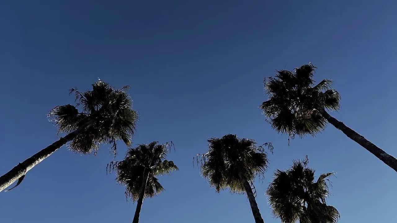 θ波radio vol.2 2026.2/21 ~辺境ambient guitaristのlive loop channel~Theta Wave Radio~