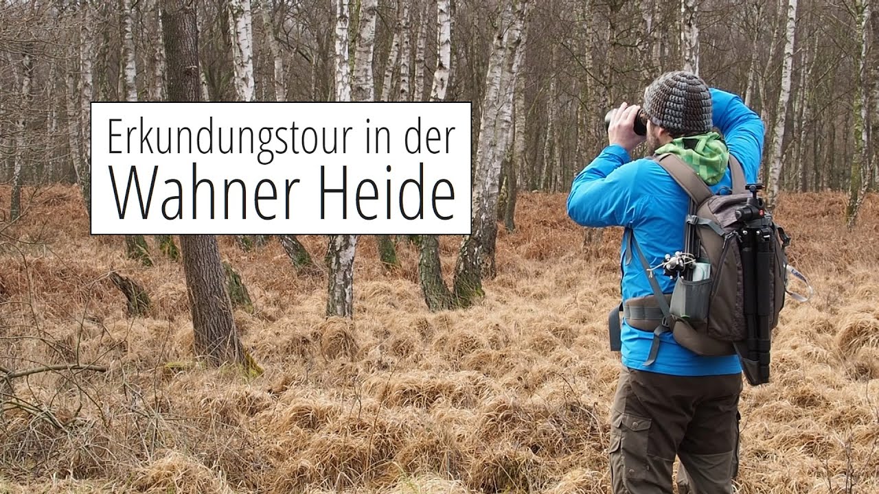 Erkundungstour in der WAHNER HEIDE bei Bonn
