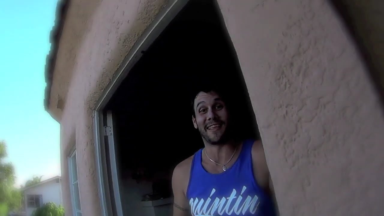 CATFISH 2012