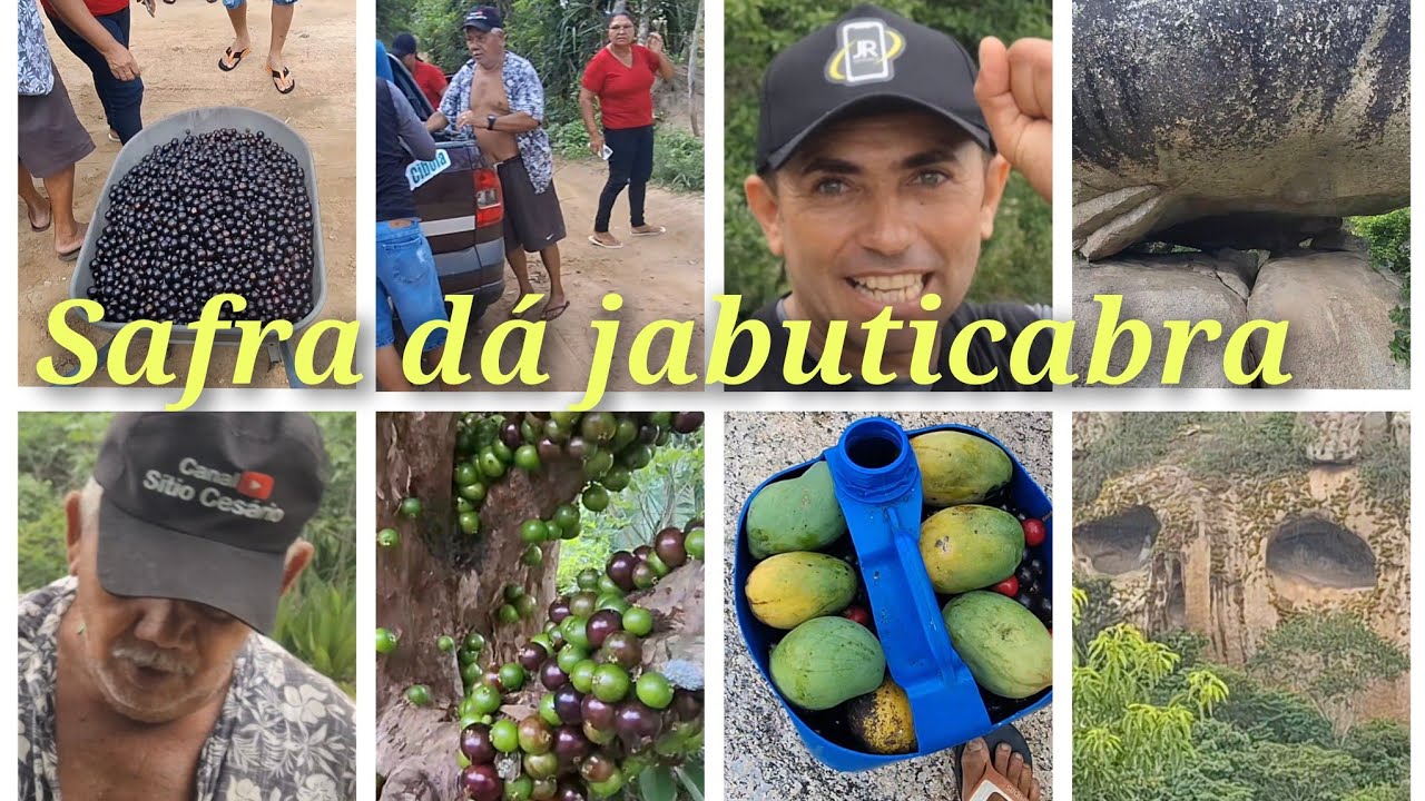 Fui para safra da jabuticabra, maios, colega. No sítio zumbi de queimada. Veja que a aventura.