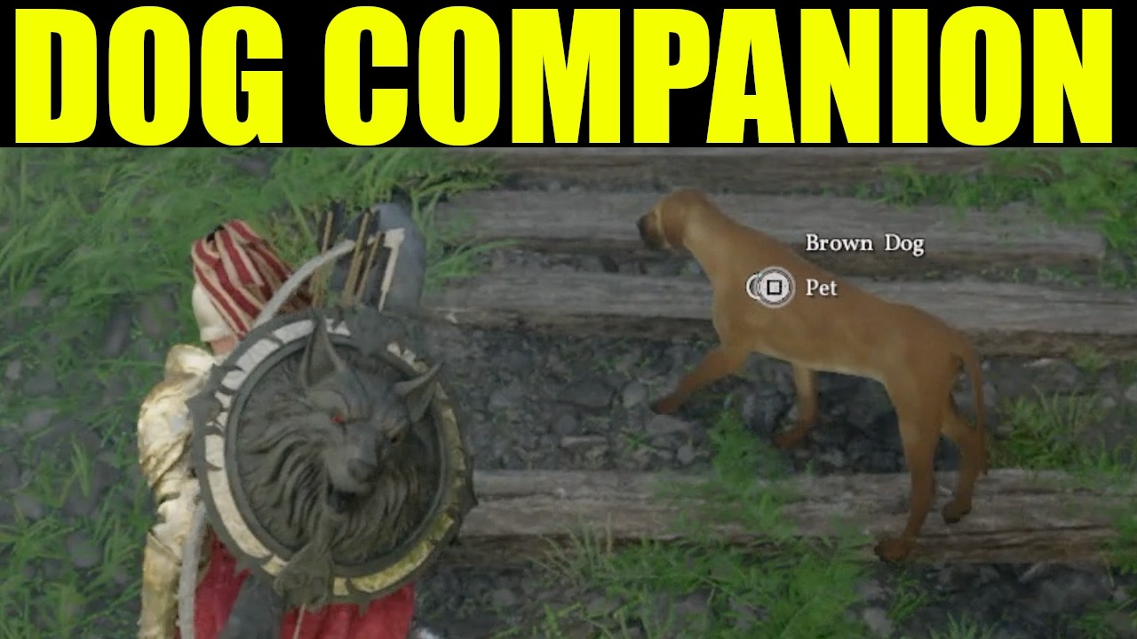 Crimson Desert - how to get a pet dog companion in crimson desert