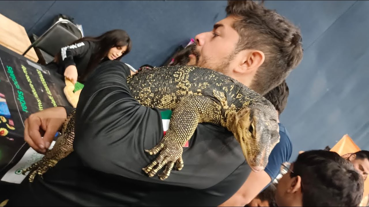 Animalia MONTERREY 2025, La primera vez que veo una cobra! 