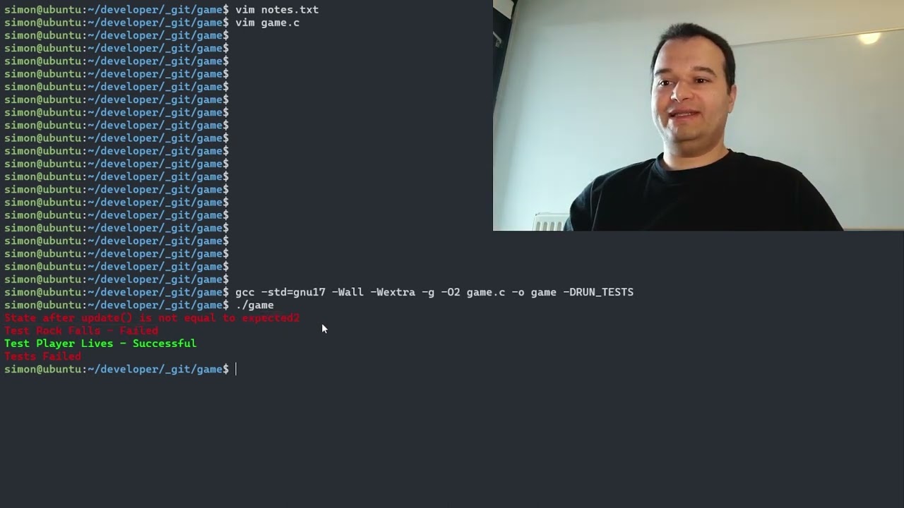 Linux Terminal Game from Scratch IV - Tests, Rendering, Colors, Animations
