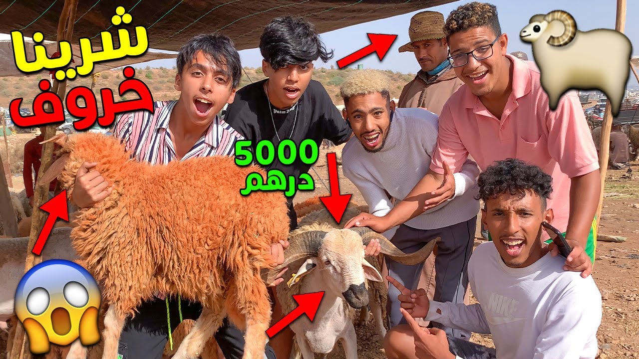 شرينا اغلى خروف في عيد الأضحى 😱🐏 من سوق سبت إرتفاع أثمنة خيالية 😱🔥