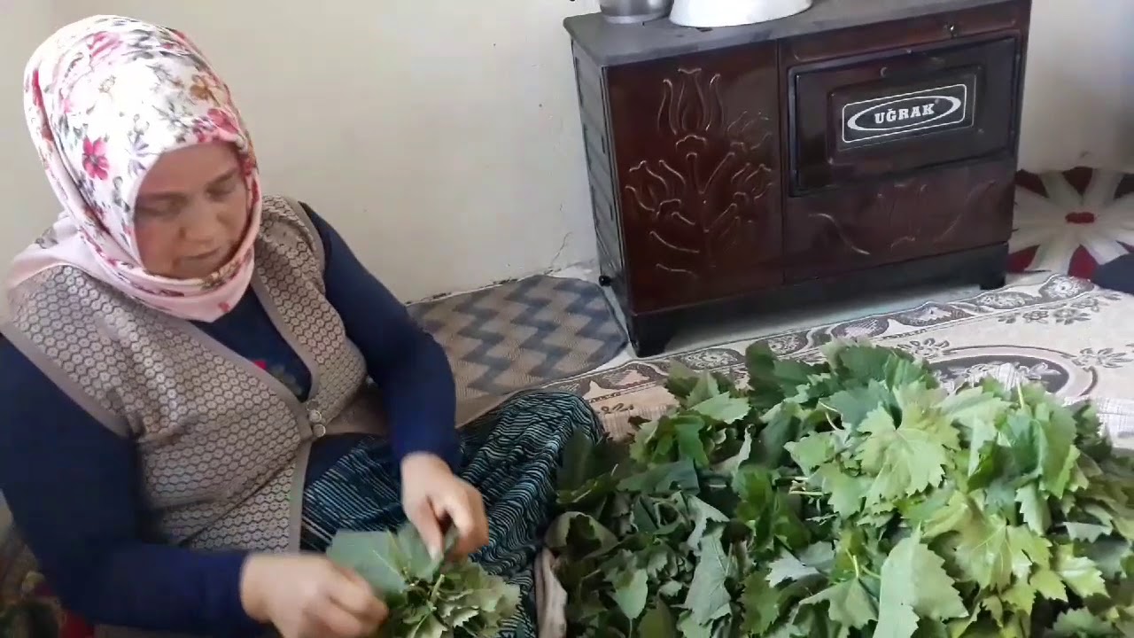 KURU YAPRAK BASMA | SALAMURA KURDUK | ARKADAŞ YARDIM ETTİ | VLOG
