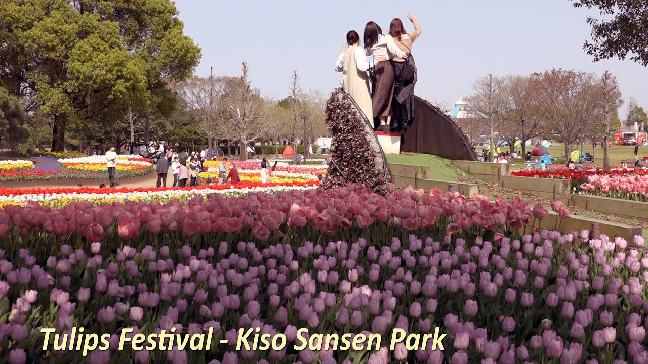 Tulips Festival Kiso Sansen Park - Kaizu City