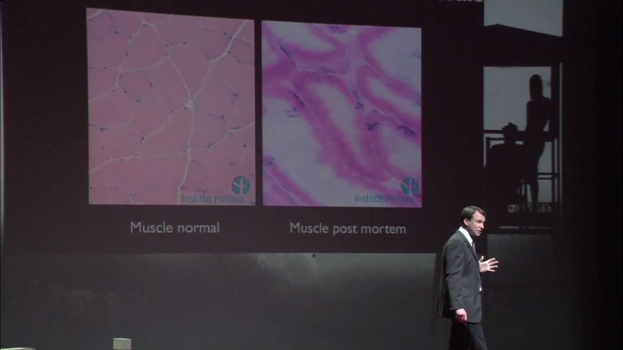 La thérapie cellulaire, avenir de la médecine? Fabrice Chrétien at TEDxParis 2012